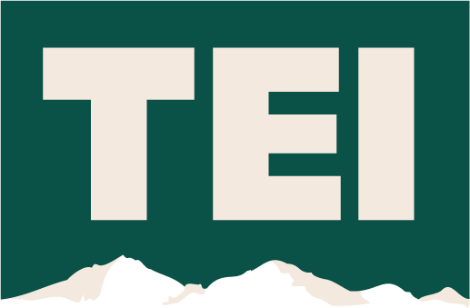 Transparent Election Initiative